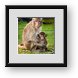 Buy Framed Print