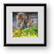 Buy Framed Print