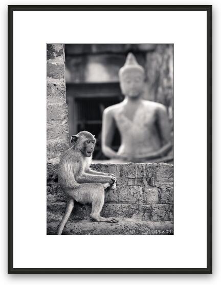 Monkey and Buddha at Phra Prang Sam Yot Framed Fine Art Print