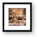 Monkey waiting for a drink at the bar Framed Print