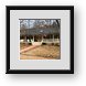 Buy Framed Print