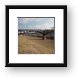 Grant Park walkway bridge Framed Print
