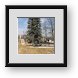 Buy Framed Print