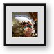 Buy Framed Print