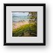 Buy Framed Print
