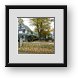 Buy Framed Print