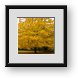 Buy Framed Print