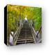 Long staircase to Mount Baldhead Canvas Print