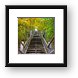Long staircase to Mount Baldhead Framed Print