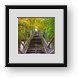 Buy Framed Print