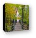 Long staircase down from Mount Baldhead Canvas Print