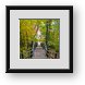 Buy Framed Print
