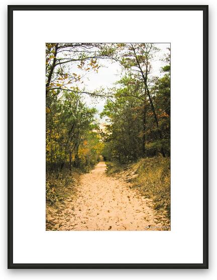 Sandy walkway to Lake Michigan Framed Fine Art Print