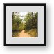Buy Framed Print