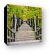 Long staircase down from Mount Baldhead Canvas Print