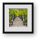 Buy Framed Print