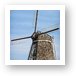 Dutch Windmill Art Print