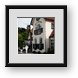 Buy Framed Print