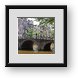 Buy Framed Print
