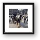 Horse and carriage at Dam Square Framed Print