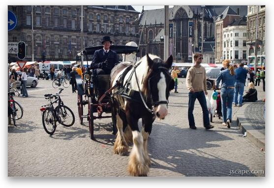 Horse and carriage at Dam Square Fine Art Metal Print