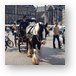 Horse and carriage at Dam Square Metal Print