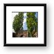 Gate to the Rijksmuseum Framed Print