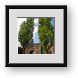 Buy Framed Print
