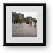 Buy Framed Print