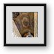 Buy Framed Print