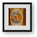 Buy Framed Print