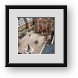 Buy Framed Print