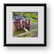 Buy Framed Print