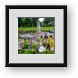 Buy Framed Print