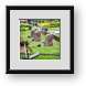Buy Framed Print