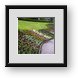Buy Framed Print