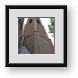 Buy Framed Print