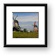 Dutch windmills Framed Print