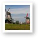 Dutch windmills Art Print