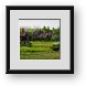 Buy Framed Print
