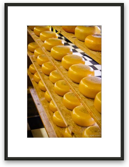 Dutch cheese on racks Framed Fine Art Print