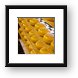Dutch cheese on racks Framed Print