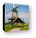 Bicycle riding and windmills Canvas Print