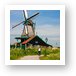 Bicycle riding and windmills Art Print