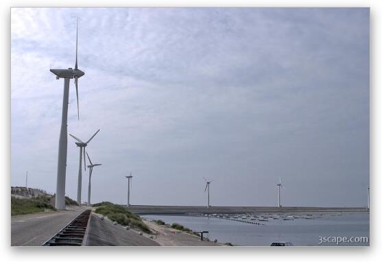 Wind turbines along the Delta Works Fine Art Metal Print