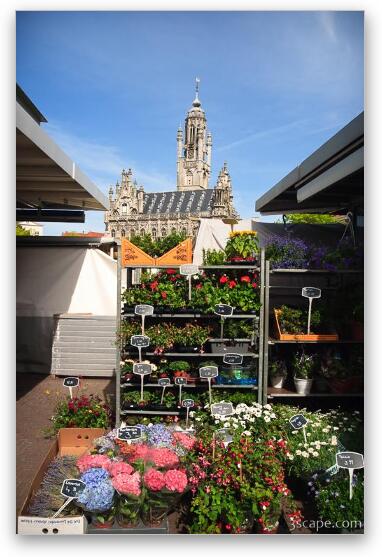 Flower market in the central square Fine Art Metal Print