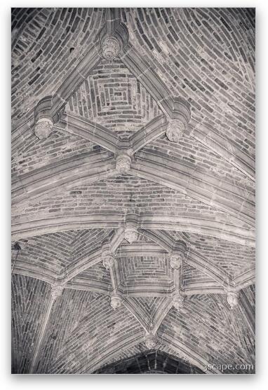 Ceiling of the Kloosterkerk Fine Art Metal Print
