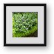 Buy Framed Print