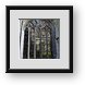 Buy Framed Print