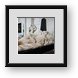 Buy Framed Print